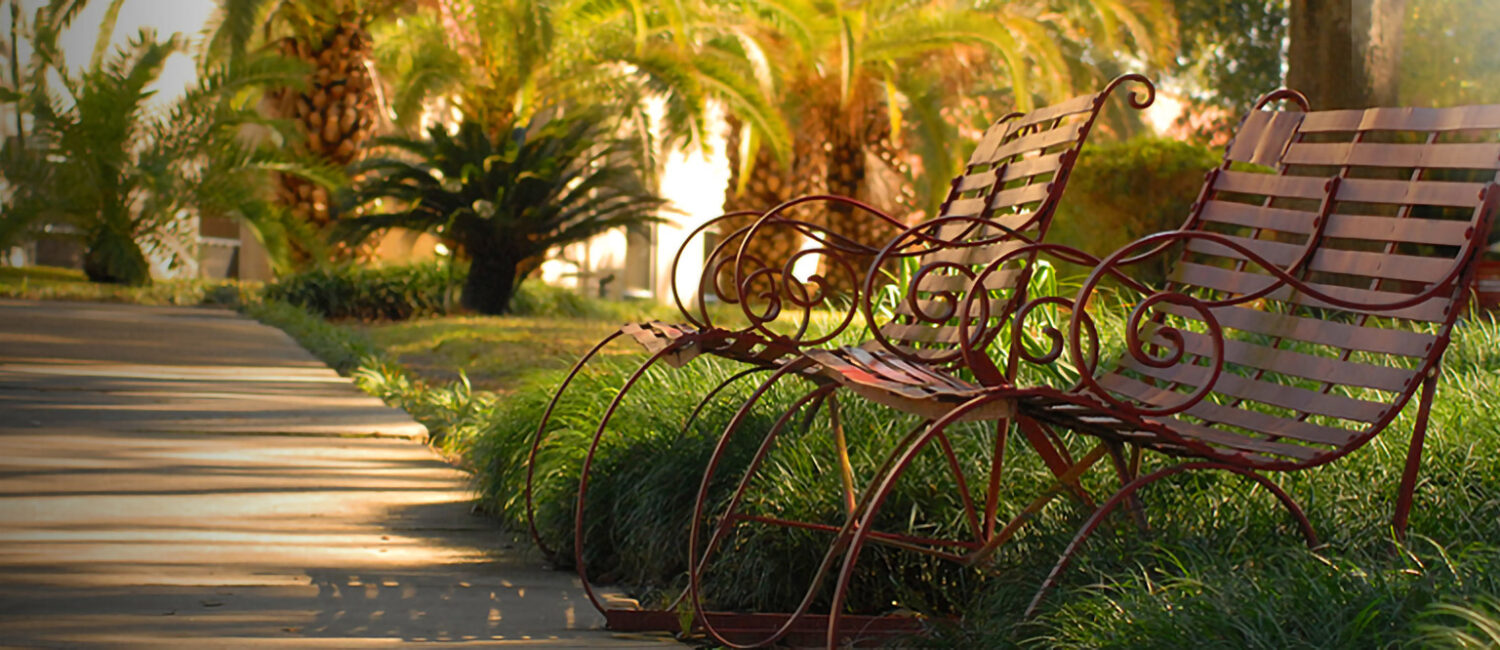 sidewalk with benches and bushes by courthouse